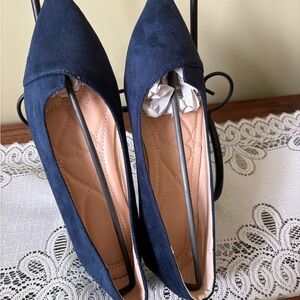 Women’s Pointed Toe Flats - Navy Suede